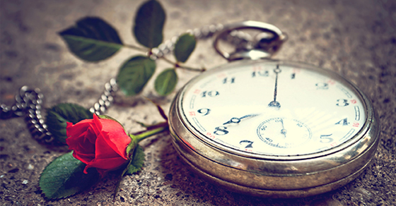 pocket watch on a chain next to a single red long-stemmed rose 