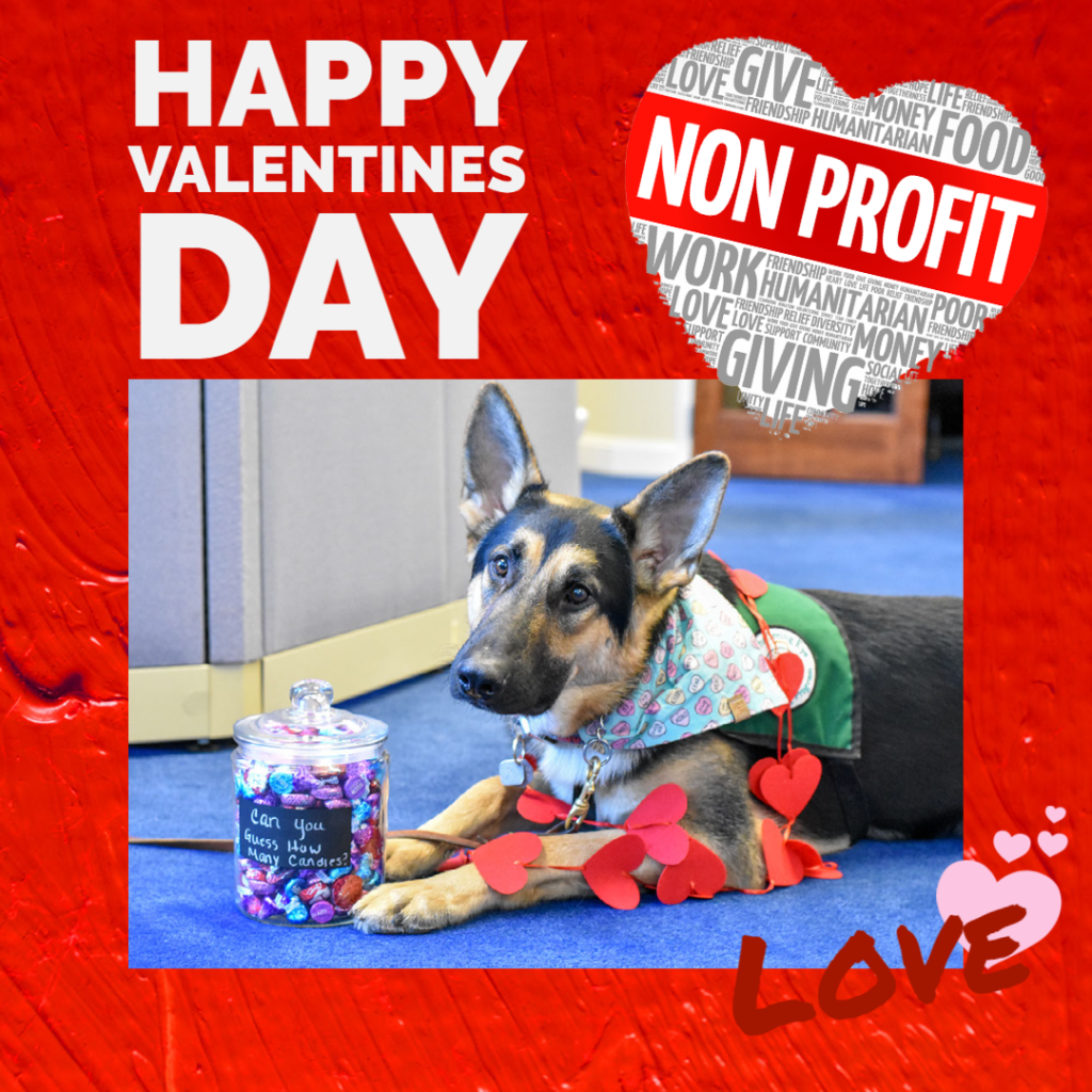 german shephard wearing a bandana and draped in a string of fabric hearts laying next to a glass jar of candy labeled can you guess how many candies