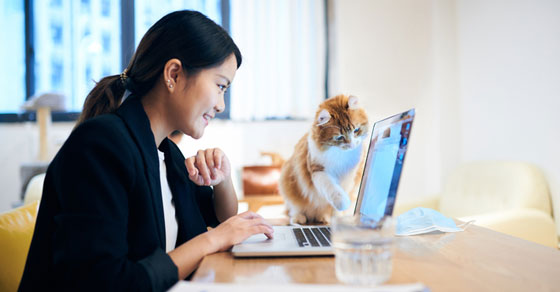woman sitting at laptop with cat looking at screen