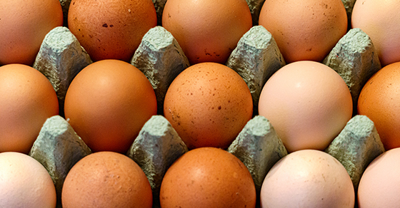 close up of carton of eggs