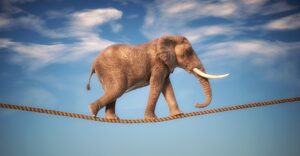 elephant walking on a tightrope with cloudy sky background