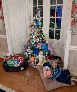 Festival of Trees pet theme decorated tree. Dog beds on either side of tree that is adorned in cat and dog treats, pet beds have treats and pet clothing on them