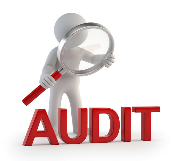 A 3D figure holding a magnifying glass closely examines the word 'AUDIT' in bold red letters, symbolizing a detailed review or inspection of a nonprofit organization's financial practices
